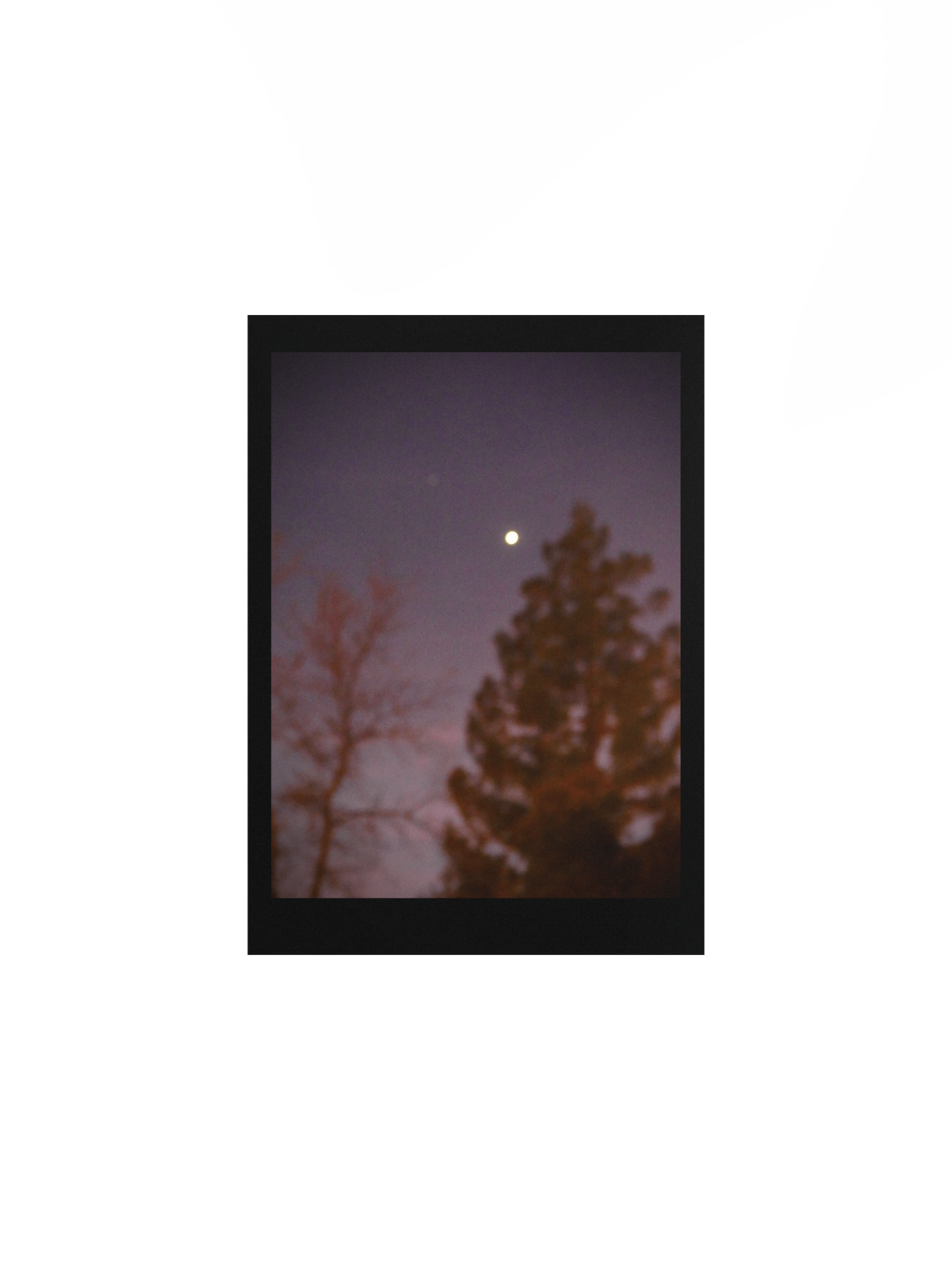 Purple Night product image (2)