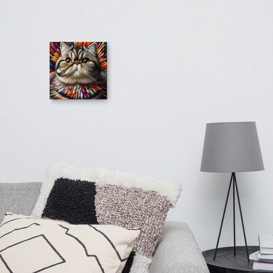 Canvas (in): Exotic Shorthair product image (10)