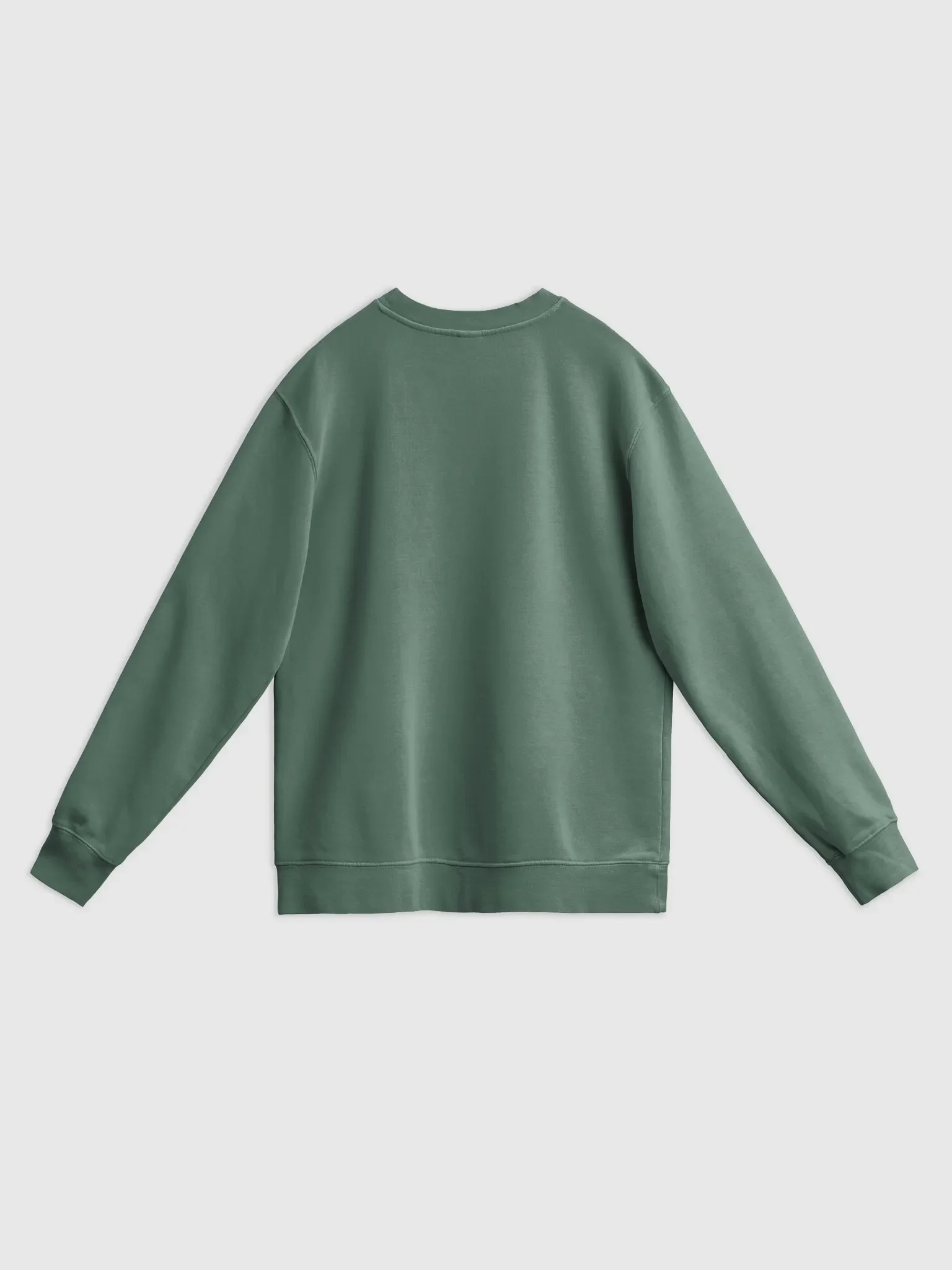 "CTS" - Pigment Dyed Sweatshirt product image (44)