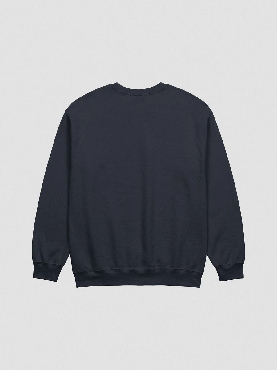 DELIGHTFULLY DIVISIVE (lg., white design) embroidered crewneck product image (21)