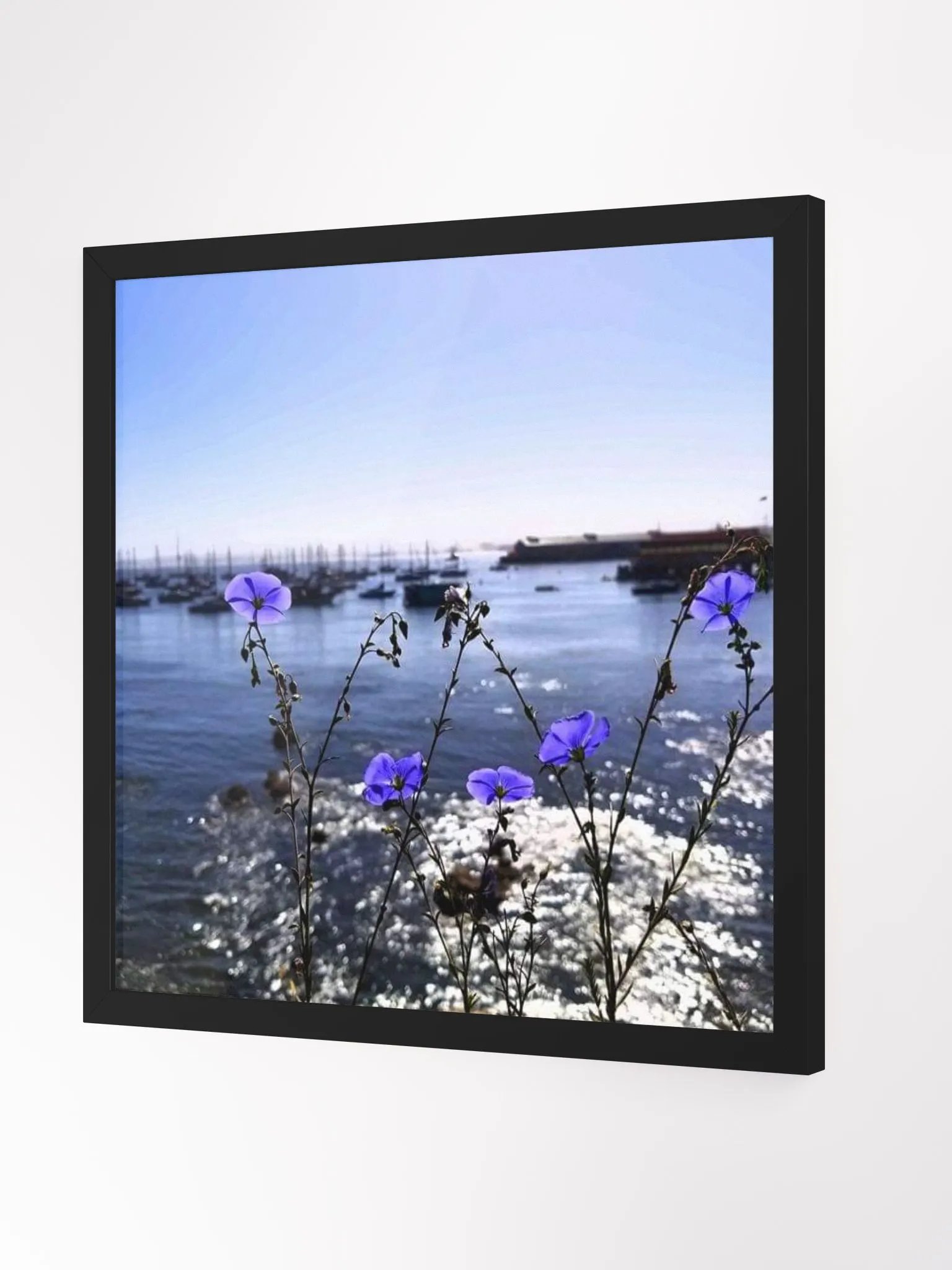 A vibrant view of the Monterey Bay product image (2)