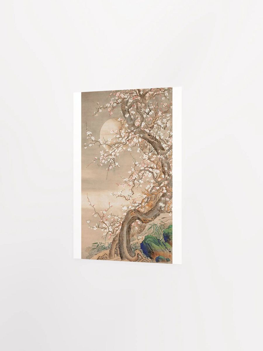 Japanese Plum Blossoms in Moonlight by Sō Shizan product image (2)