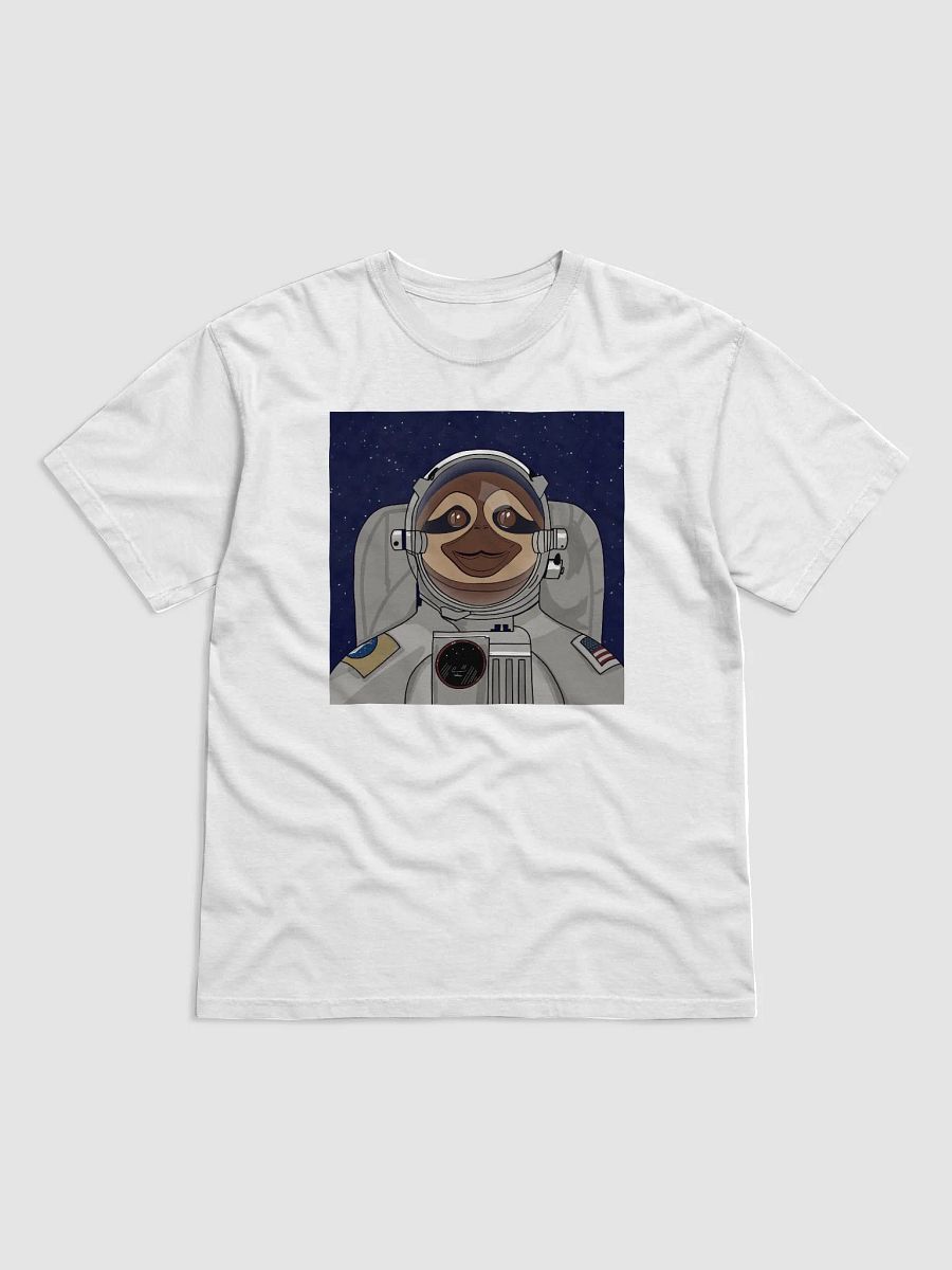 Space Sloth product image (1)
