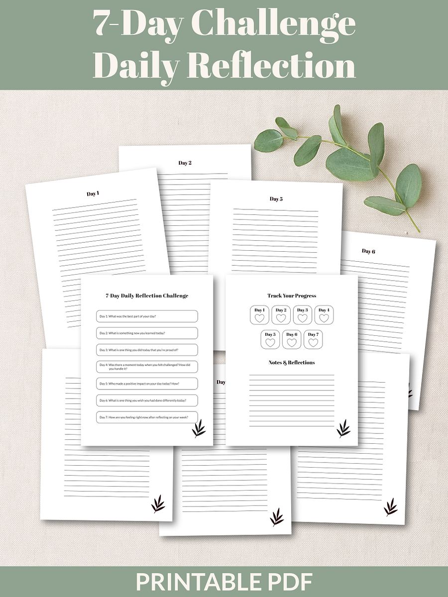 7-Day Daily Reflection Challenge Printable product image (2)