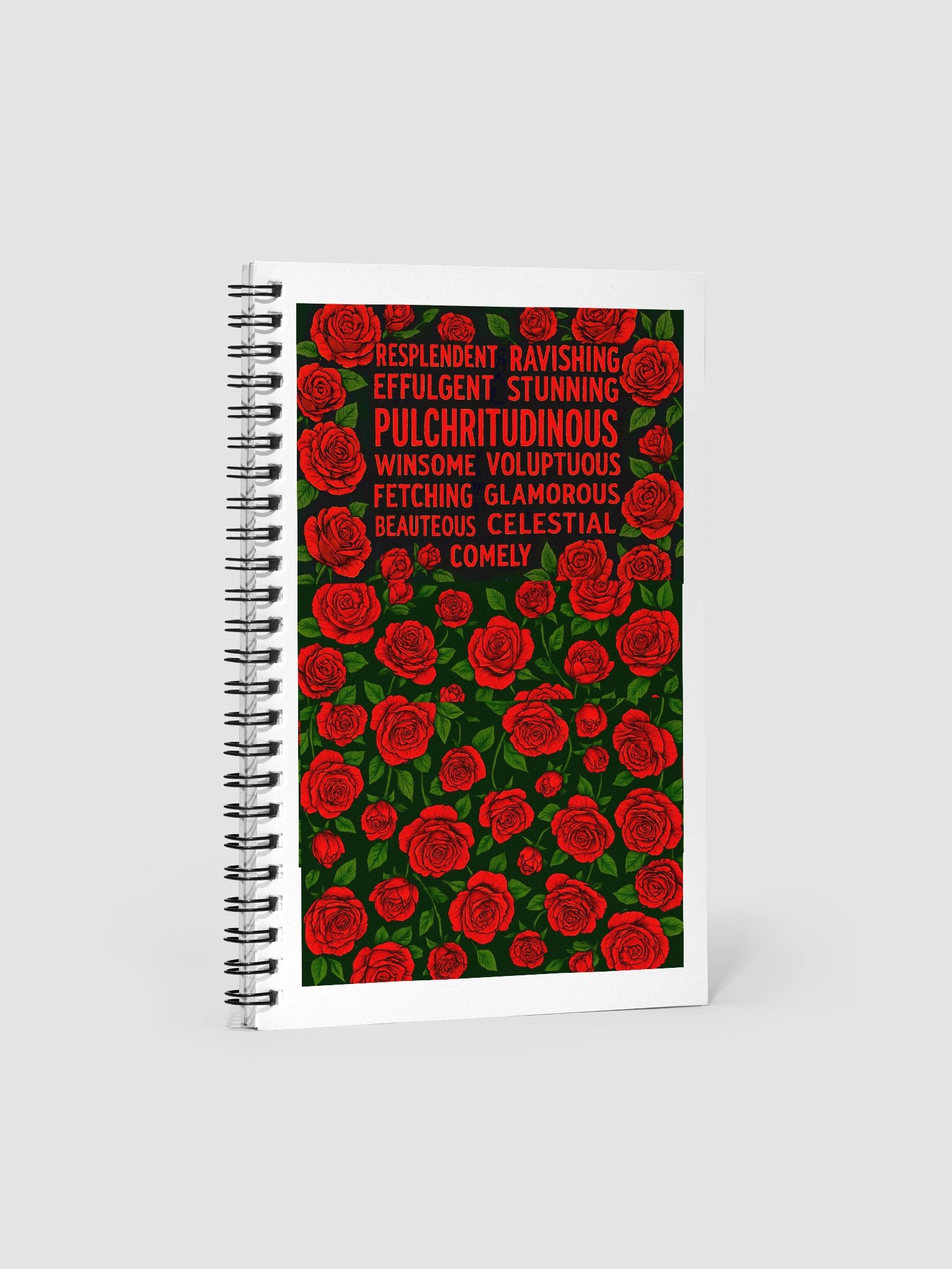 Daily Affirmations Notebook product image (1)