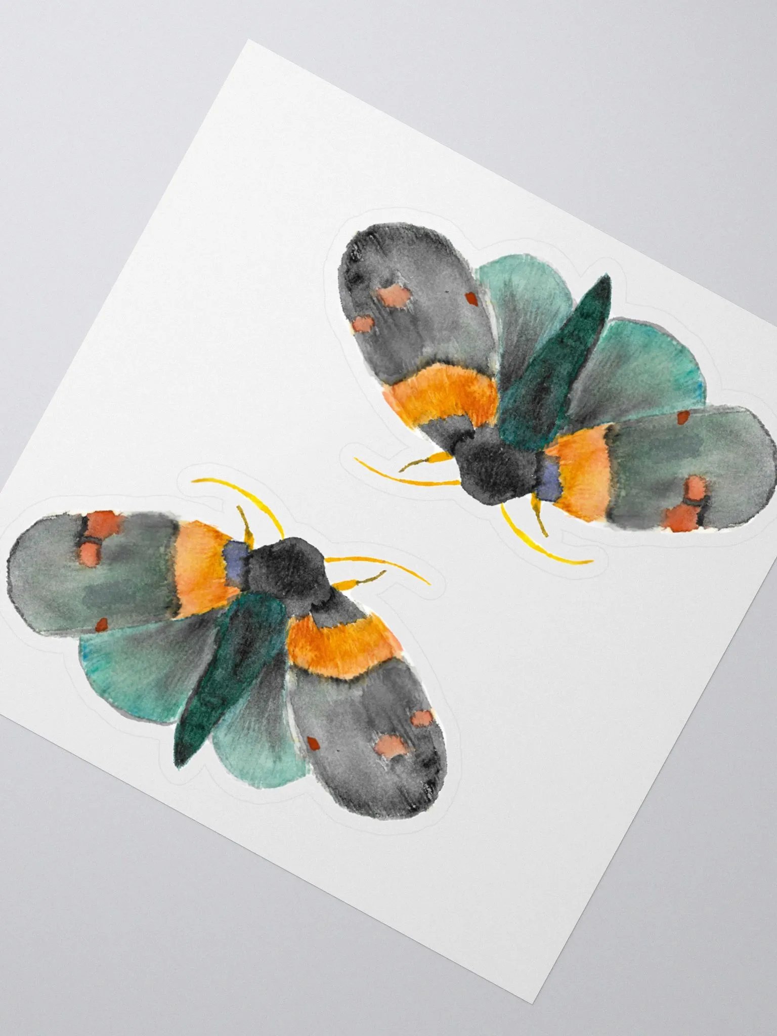 African Peach Moth Sticker (x2) product image (2)