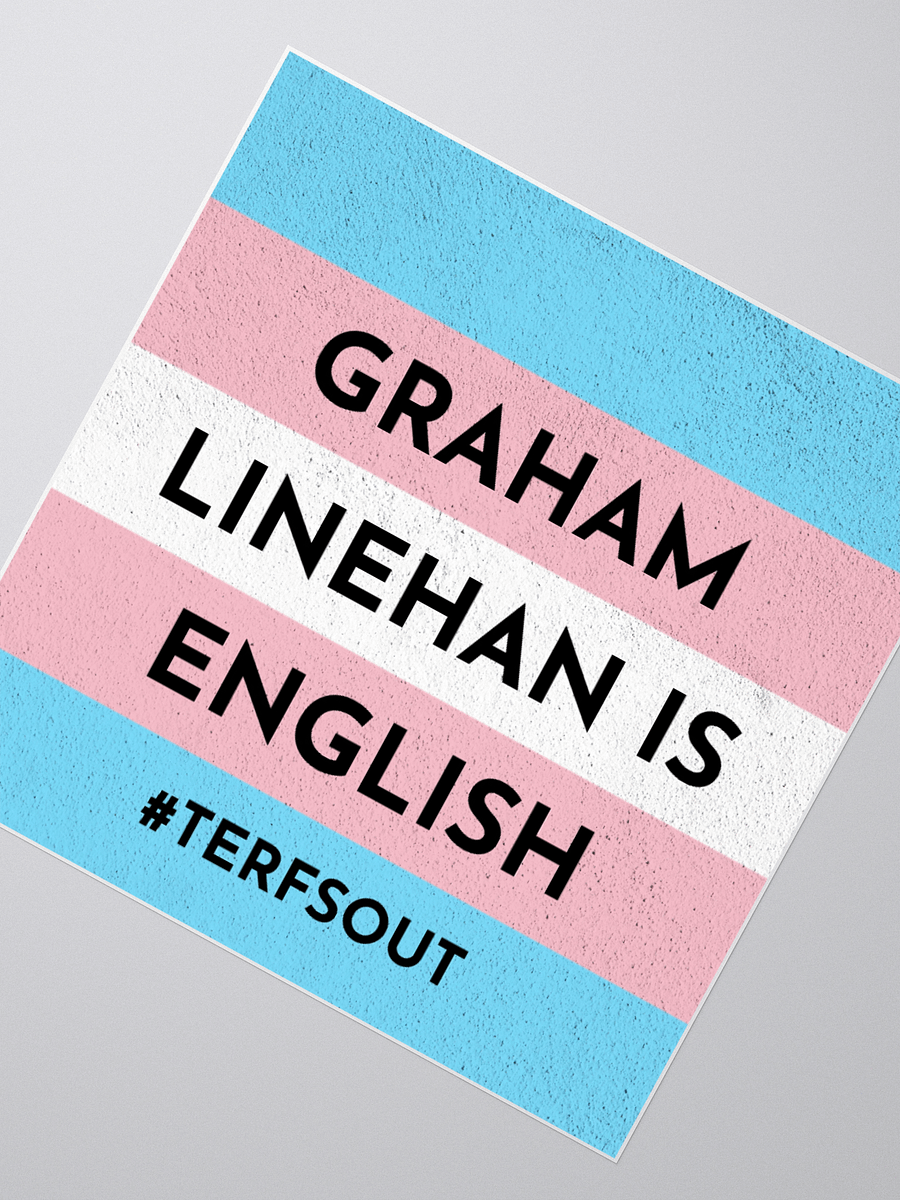 GL is English - TERFS OUTS sticker product image (5)