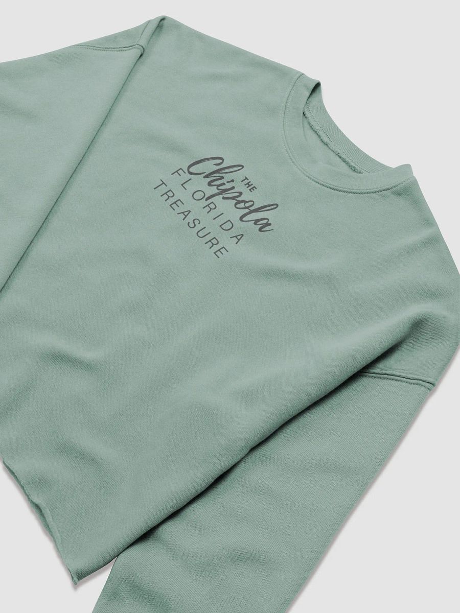 The Fleece Crop Sweatshirt product image (4)