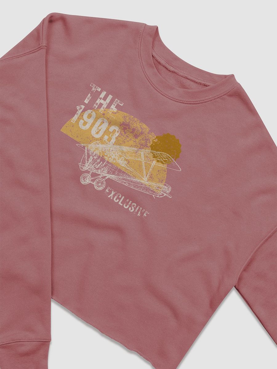 Ladies Cropped Bi Plane Sweatshirt product image (19)