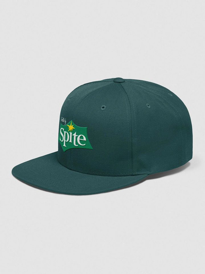 Fuelled by Spite - Snapback product image (10)