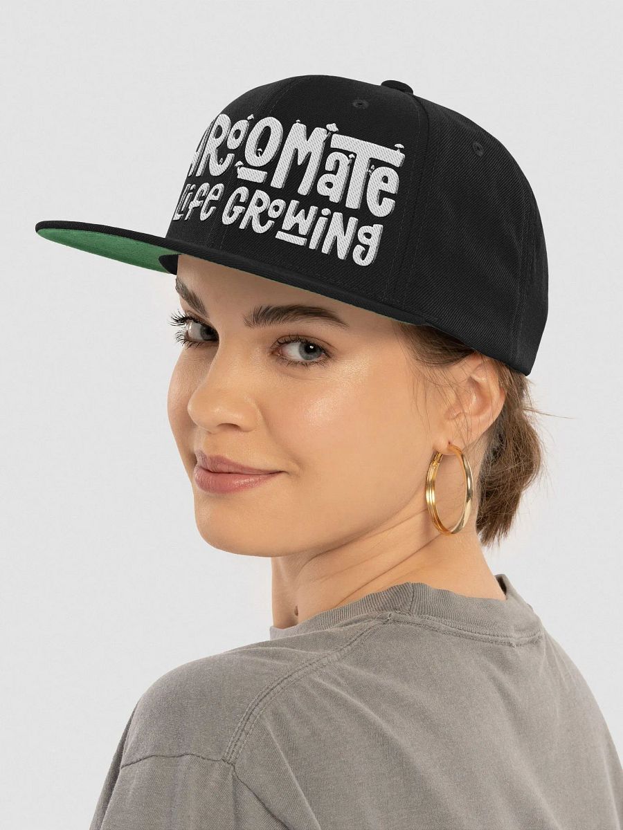 Snapback Classic Brand Cap product image (49)