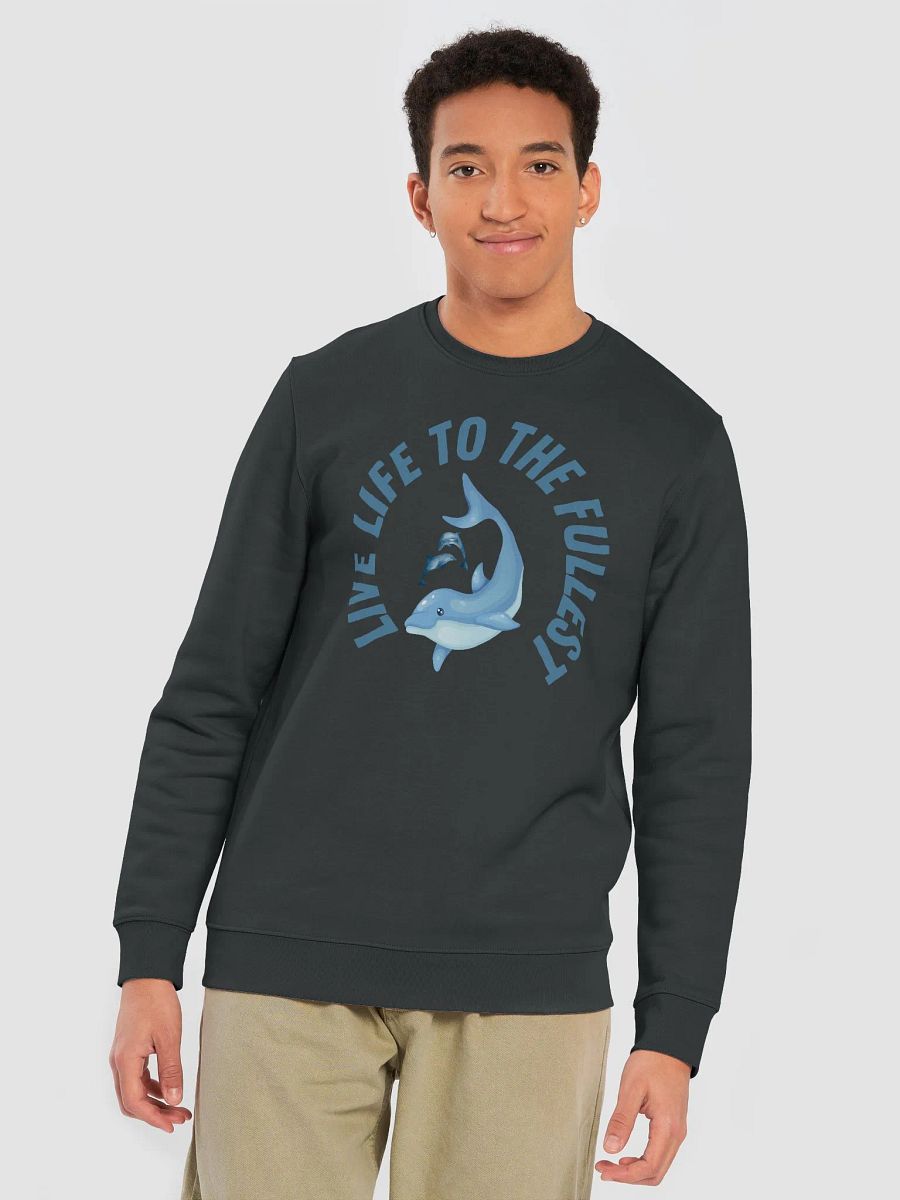 Vibrant Dolphin Jump Unisex Sweatshirt product image (7)