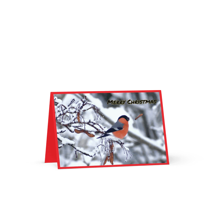 Greeting card: Bullfinch Eating In Snow product image (1)