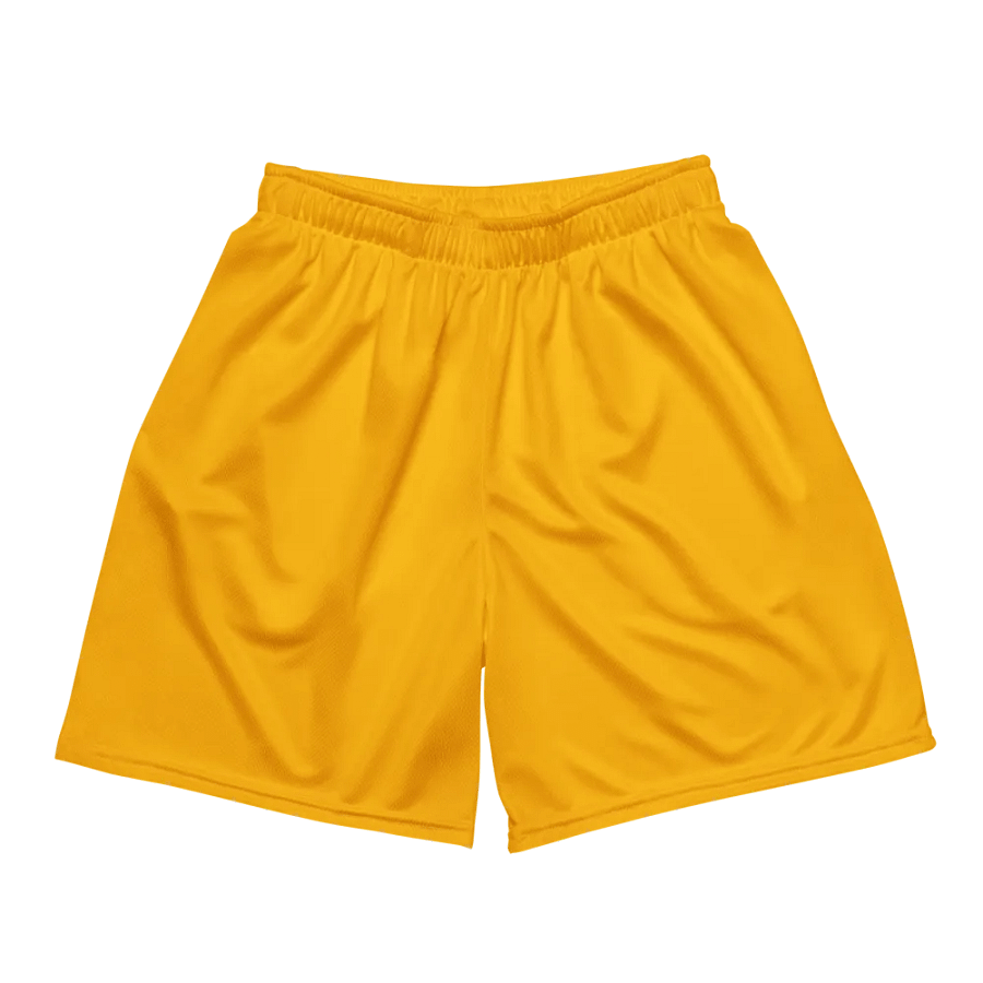 Plain Color Amber Mesh Shorts product image (3)