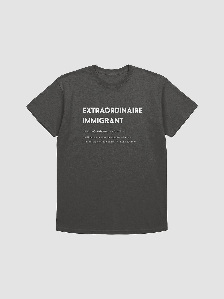EXTRAORDINAIRE IMMIGRANT TSHIRT CHARCOL product image (1)