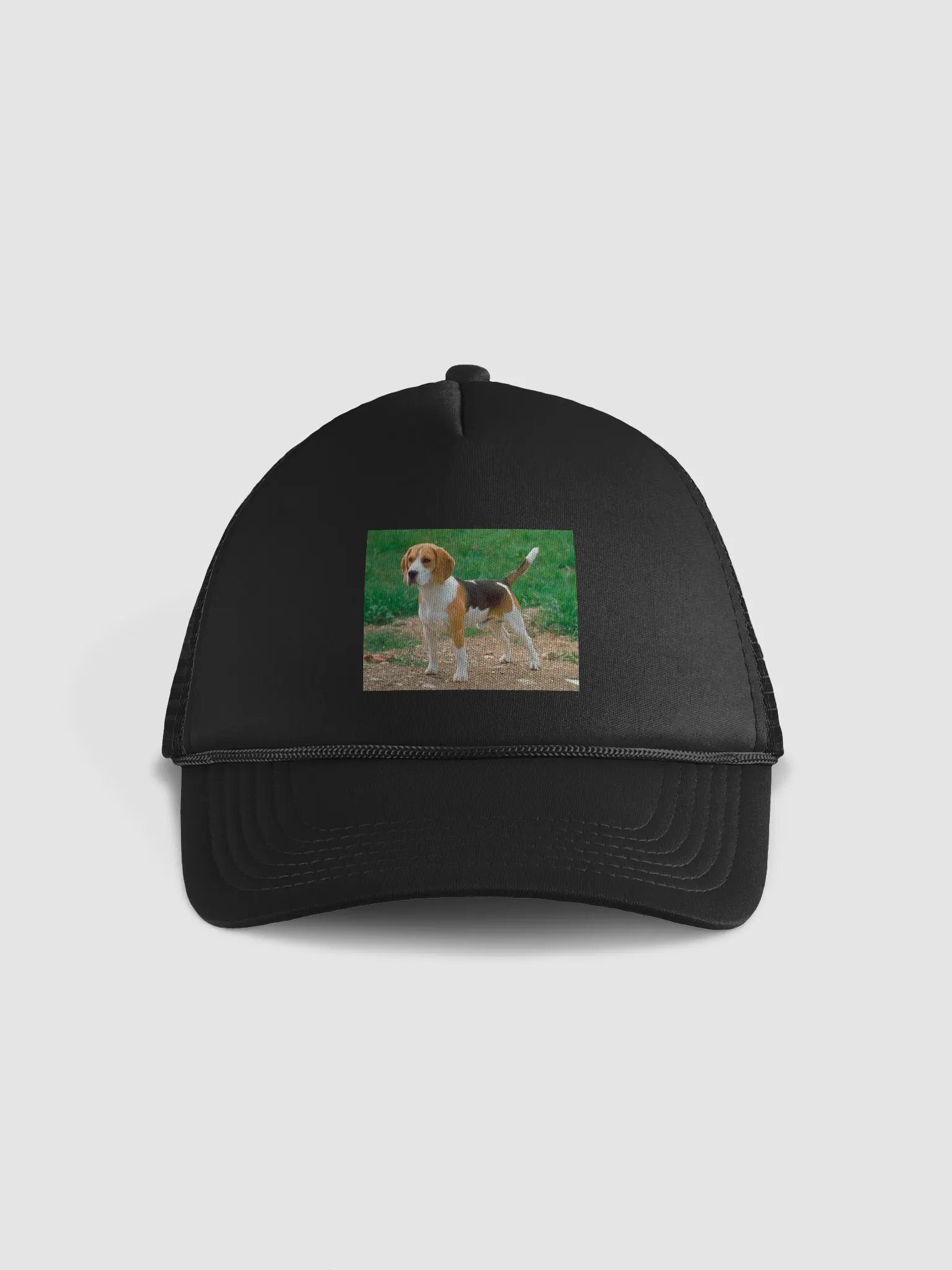 hunting beagle product image (2)