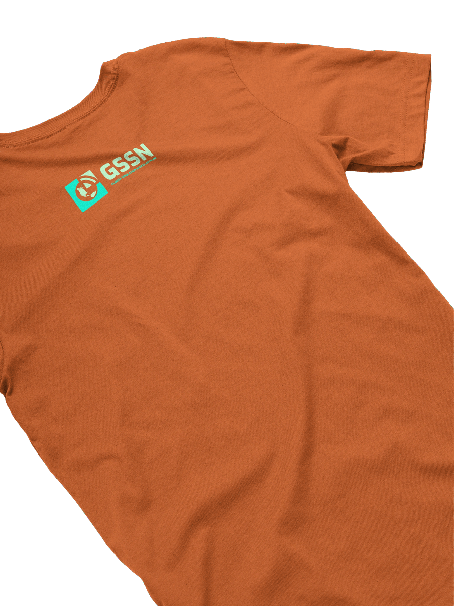 Premier Simulation Basketball - PSB Portland Rampage Logo T-Shirt product image (15)