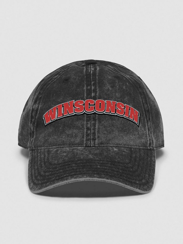 WINSCONSIN DAD HAT product image (1)
