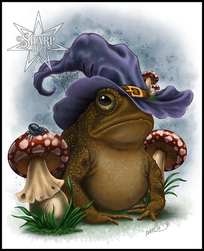 Enchanted Toad Collection