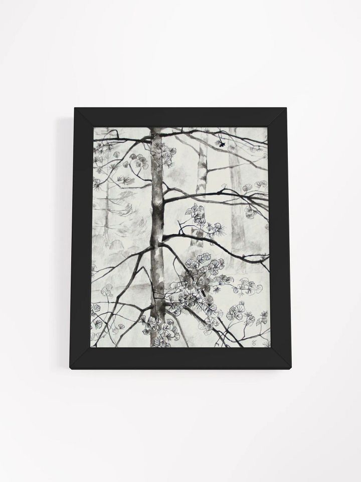 Birch Trees Sketch Framed Poster - Birches product image (2)