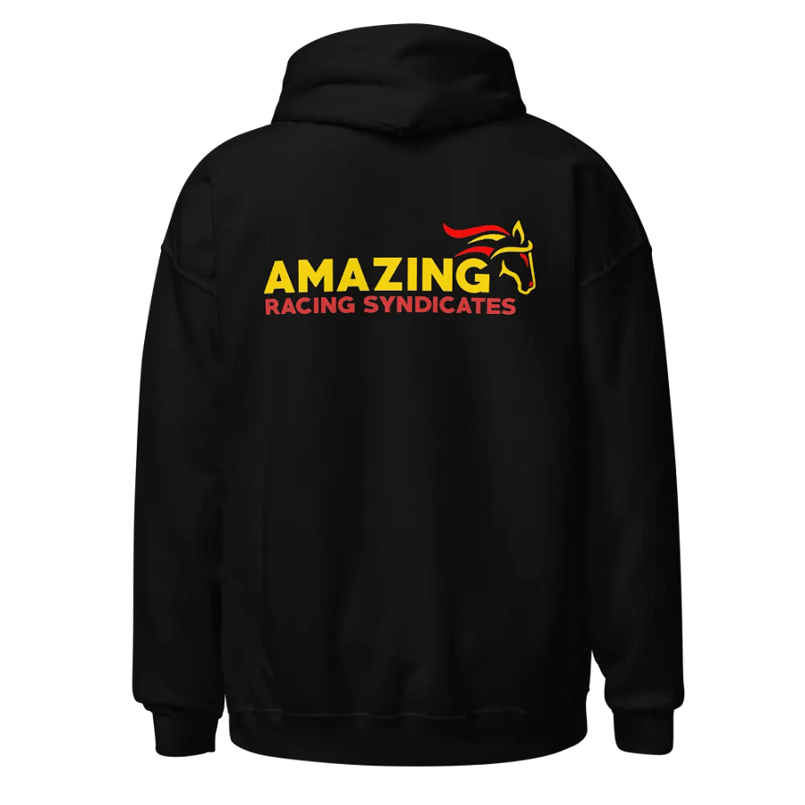 Hoodie with front and back design product image (1)