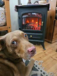 Fireside Friends