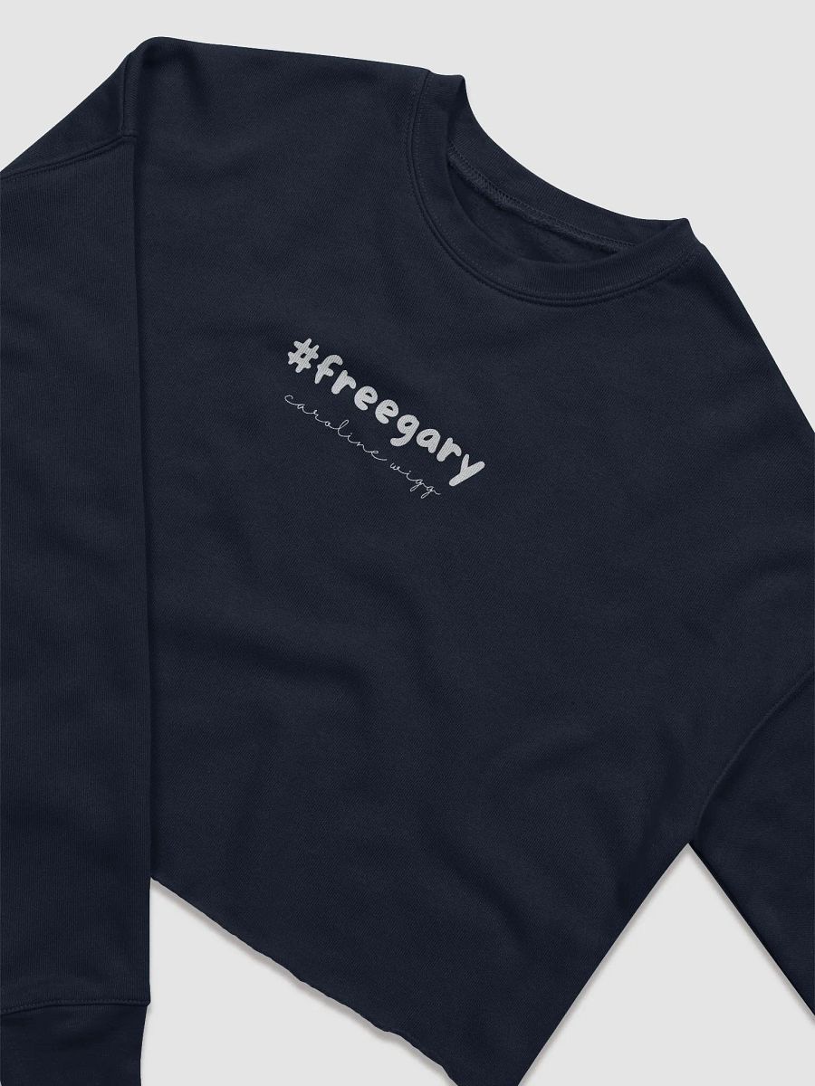 Free Gary Crop Sweatshirt - Dark Colours product image (8)