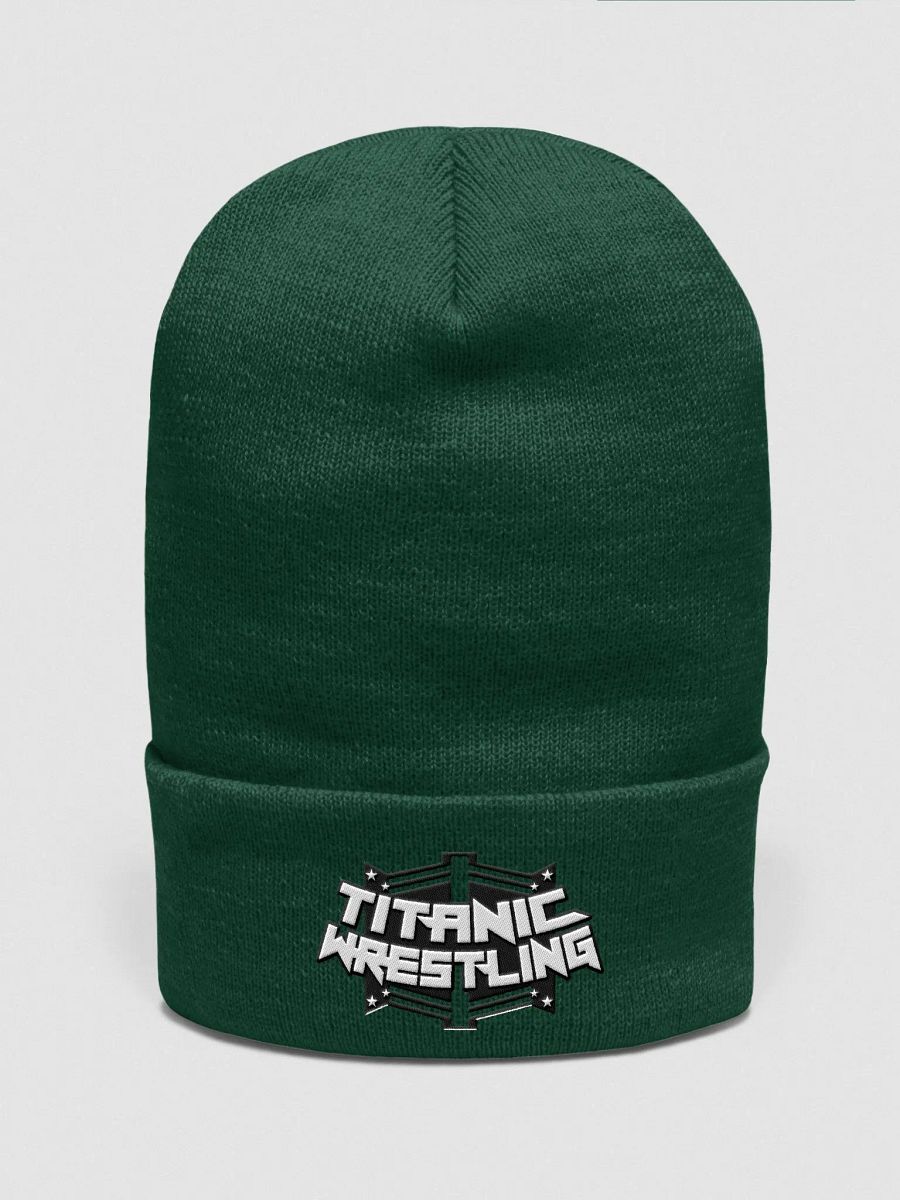 Titanic Logo Beanie - GREEN product image (1)