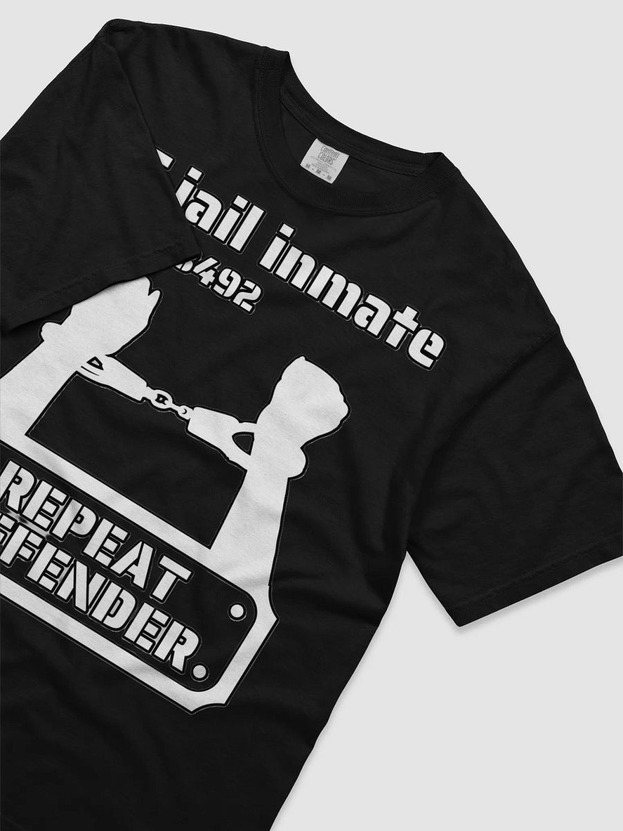 YT JAIL INMATE REPEAT OFFENDER product image (34)