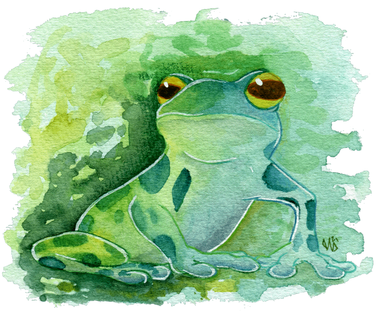 Watercolor Frog Print product image (5)