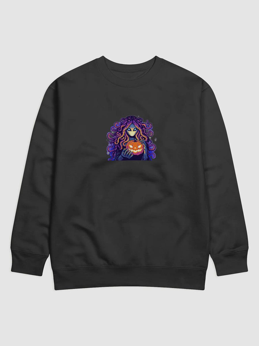 Halloween Pullover product image (1)