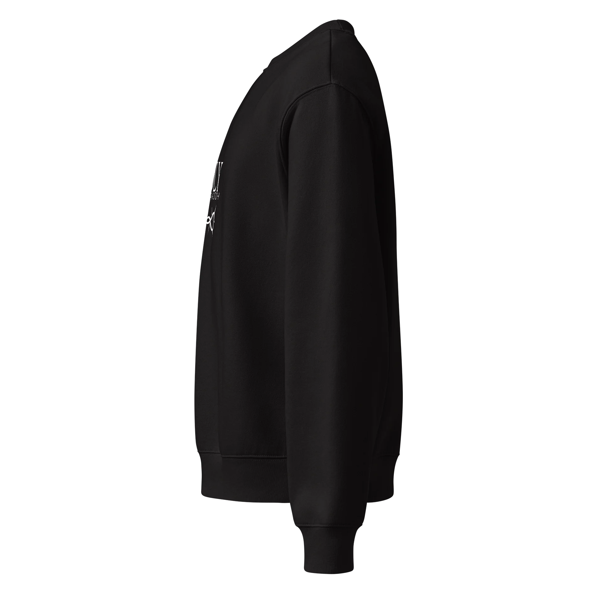 Divine Oversized Sweatshirt product image (6)