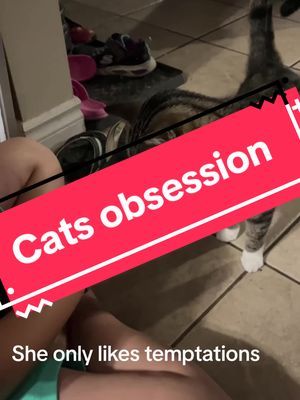 This kitty only likes @Temptations treats and these lickable treats. Even when done she will follow around the house for more. But cant find them around the stores here #catsoftiktok #treats 