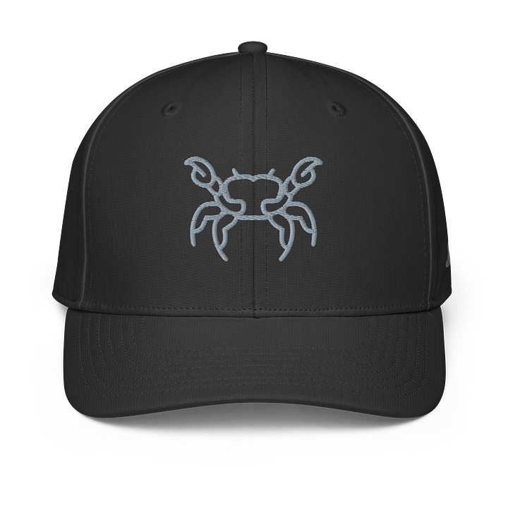 Minimalistic Crab Line Drawing Cap product image (2)