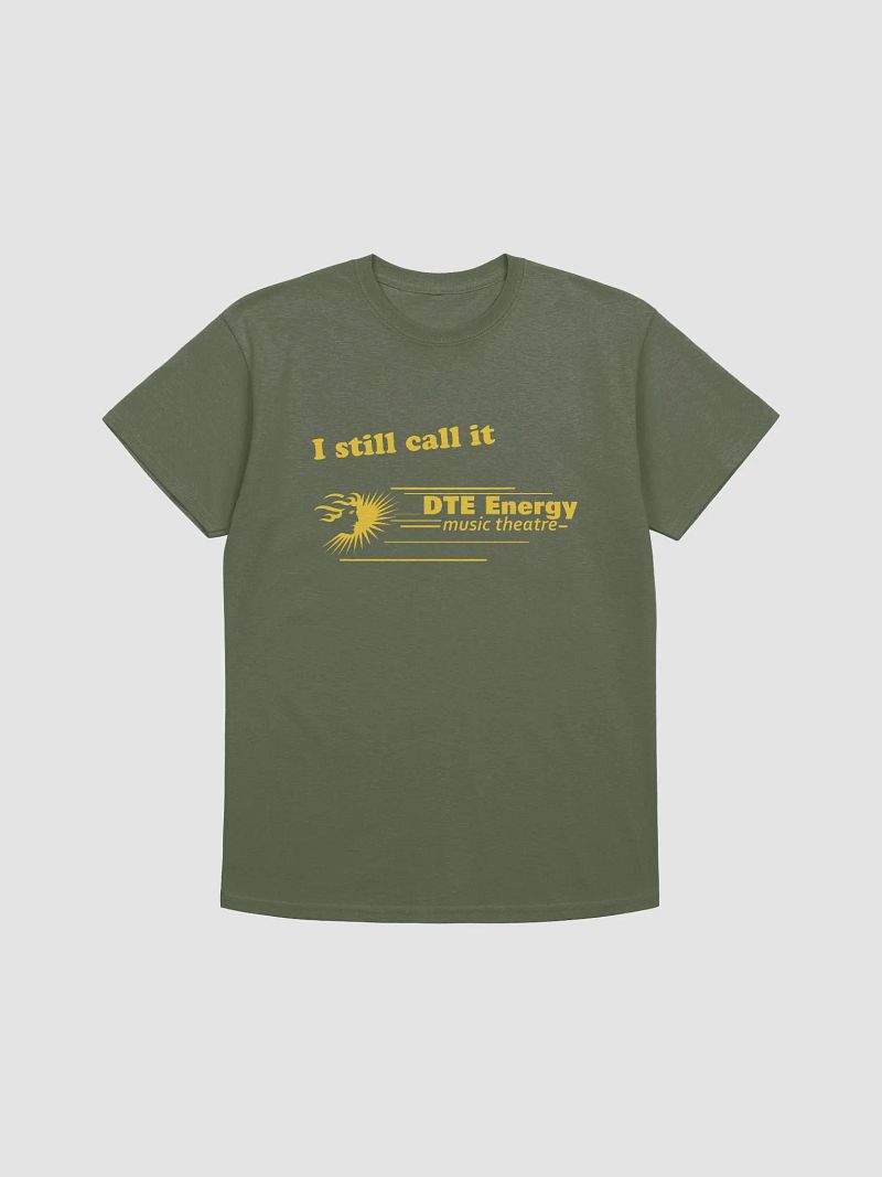 I still call it DTE Energy Music Theatre (Green Tshirt)