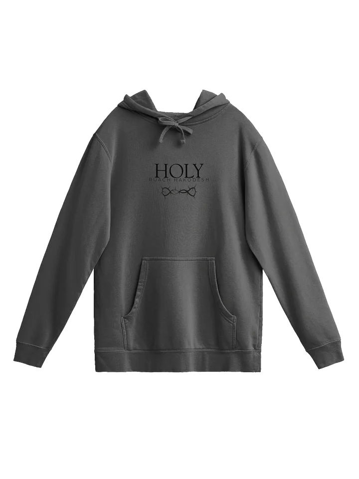 Holy Swag Hoodie product image (1)