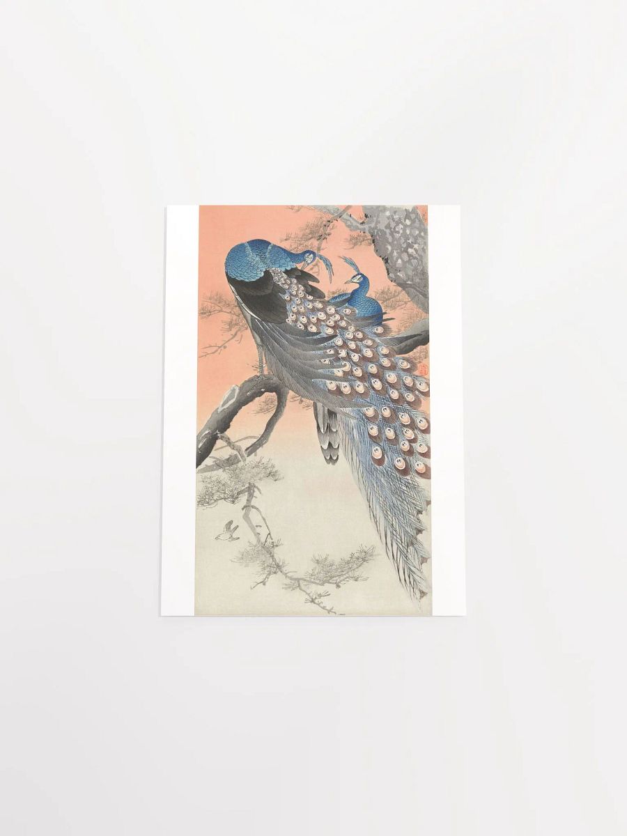 Two Peacocks on Tree Branch by Ohara Koson product image (4)