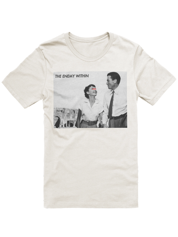 The Anti-Fascionista product image (1)
