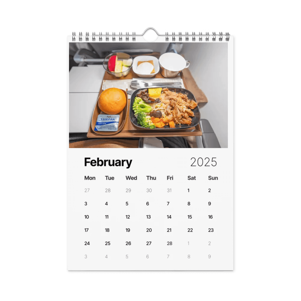 2025 Wall Calendar - Best Of: Airplane Food - (A3 or A4) product image (11)