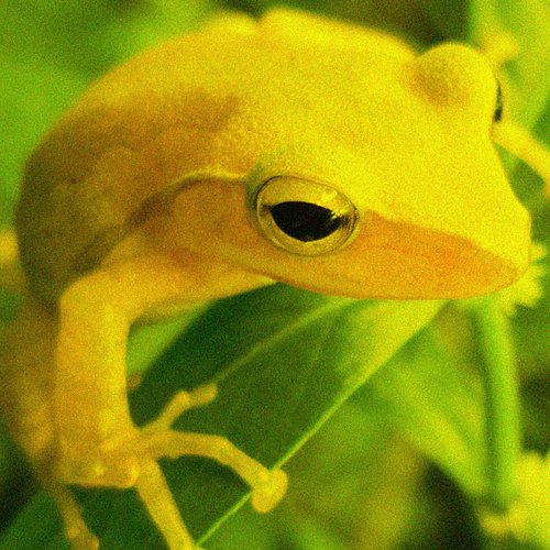 new demo 