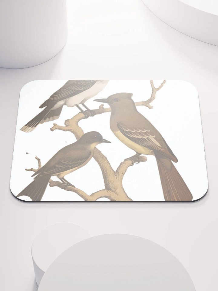 BIRDS IN WINTER product image (1)