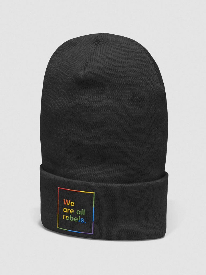 Pride Beanie (Embroidered) product image (7)