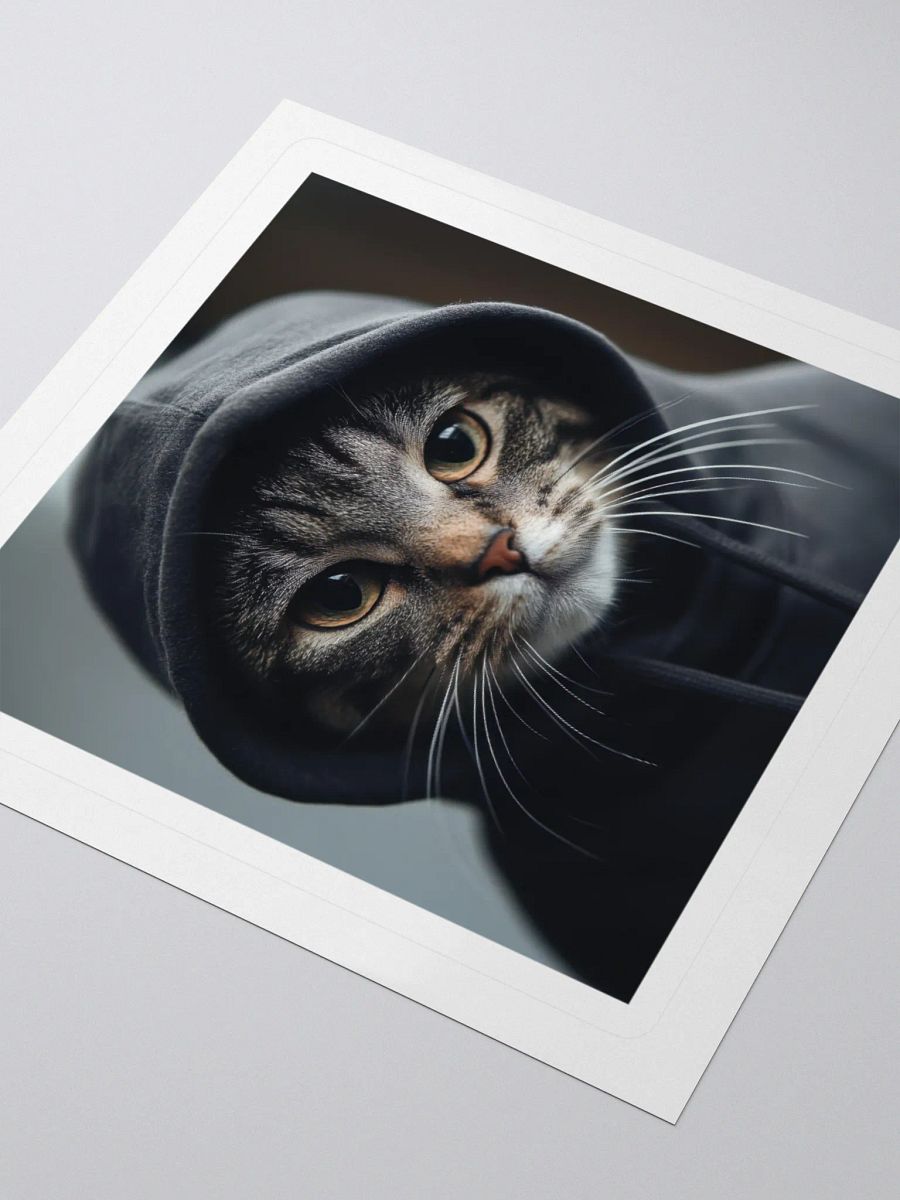Hacker Cat product image (7)