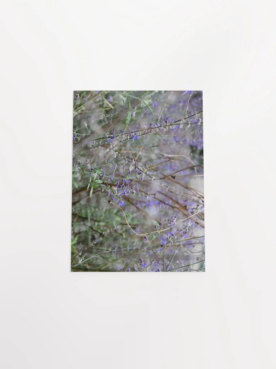 A Study in Flowers 14 product image (44)