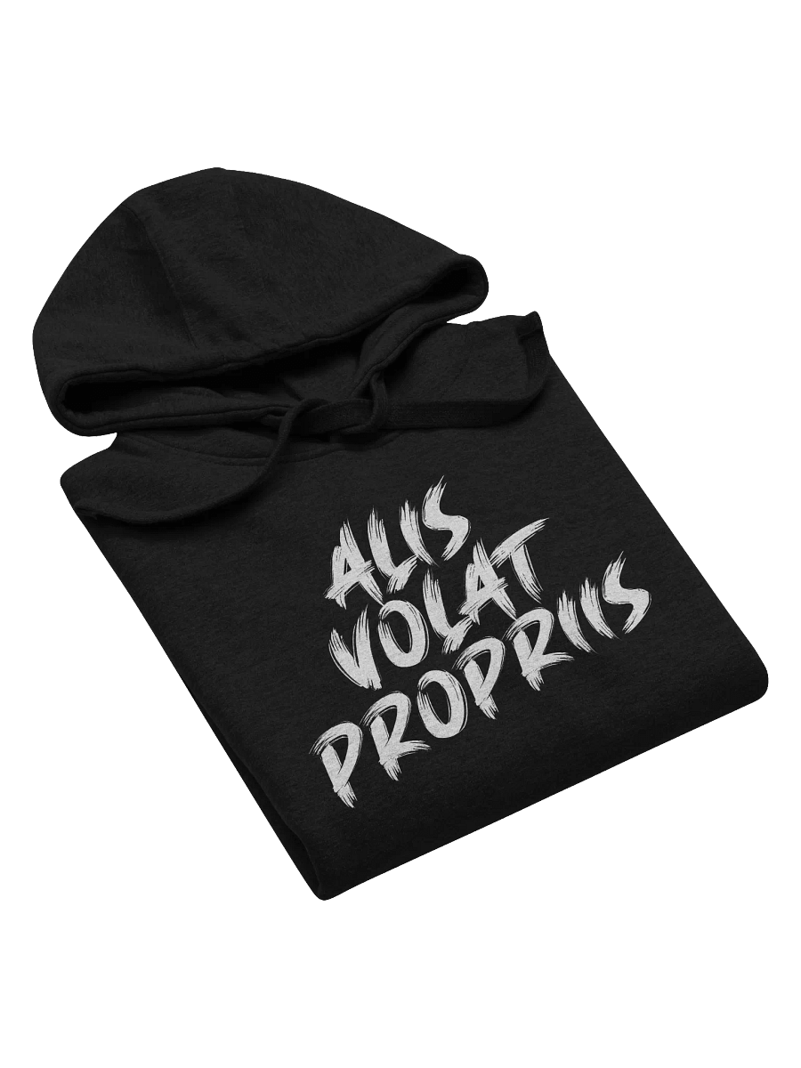 Alis Volat Propriis Bold Brush Hoodie product image (5)