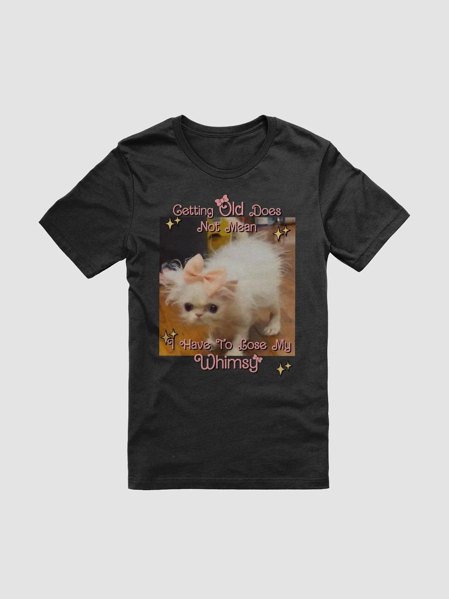 Old & Whimsy Supersoft T-Shirt product image (1)