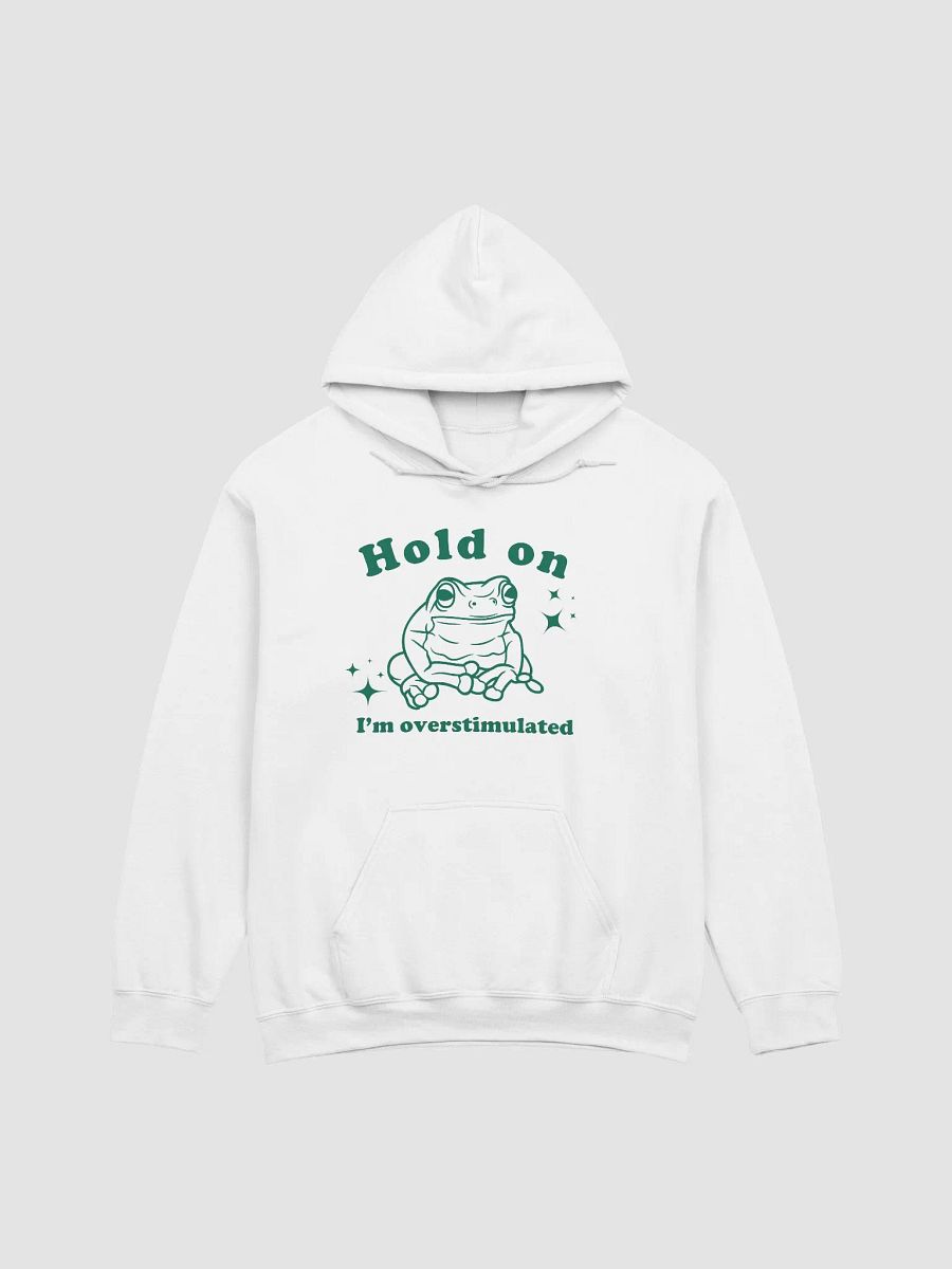 Hold on I'm overstimulated Hoodie product image (1)