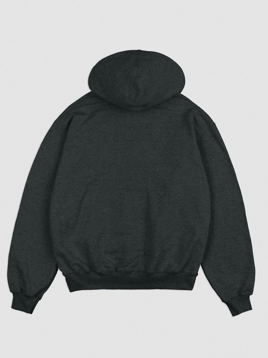Harrison Embroidered CHAMPION Hoodie product image (5)