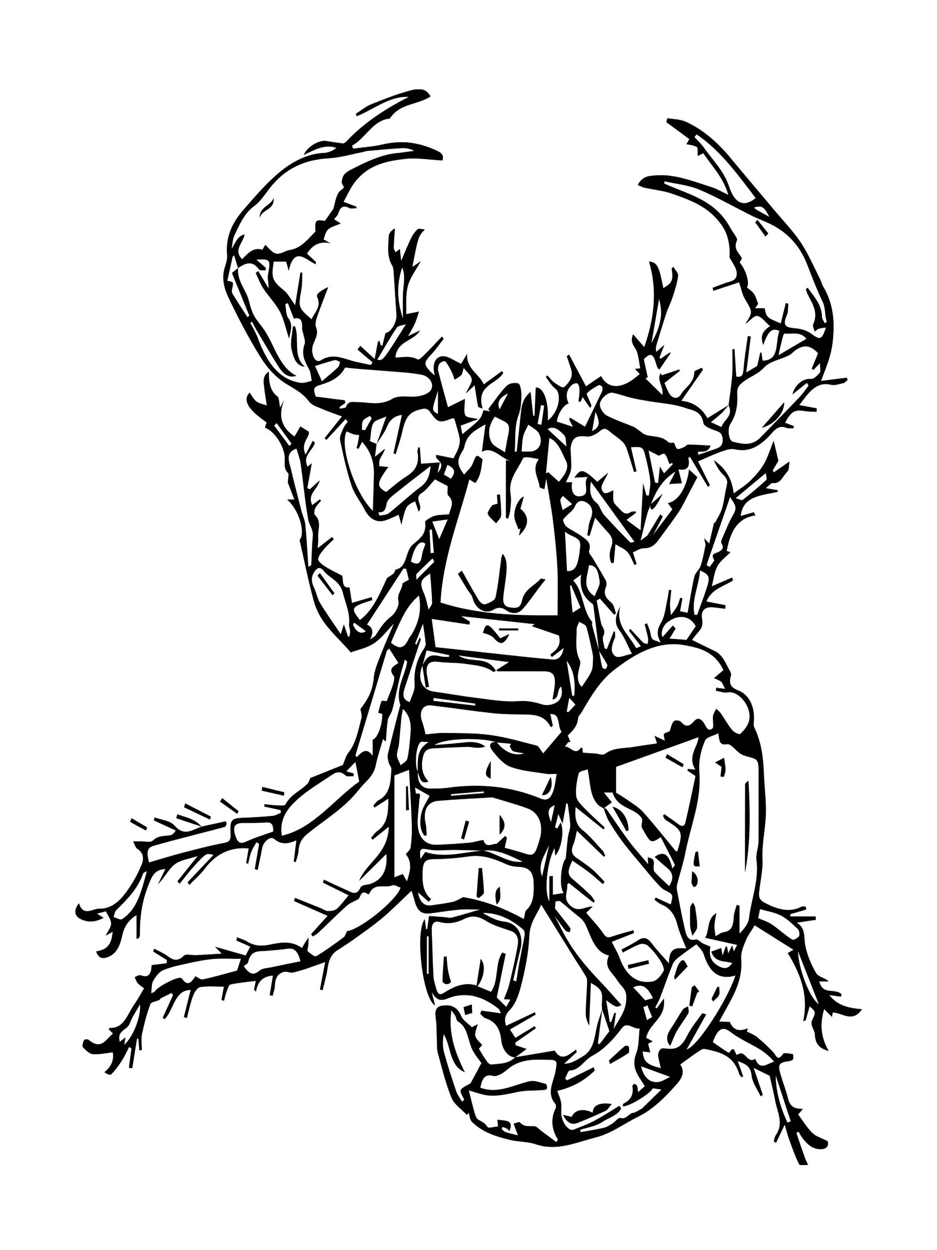 Bugs Aren't Icky A Coloring Book for Kids product image (2)