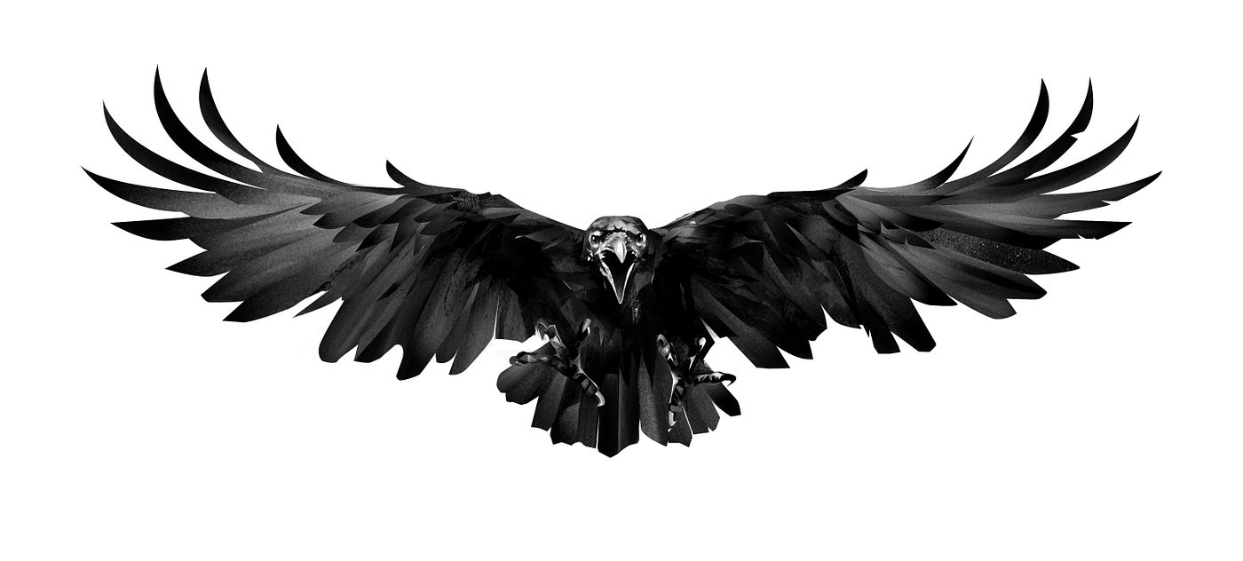 https://themes.fourthwall.com/themes/assets/996d2836-fdfd-4351-8962-fe7827e1cbb6/assets/image-0-image-8a96108cfed6414303badb0a77eb6a36e8c7ddcb8fa179eb2be51c5933e8509d.jpg